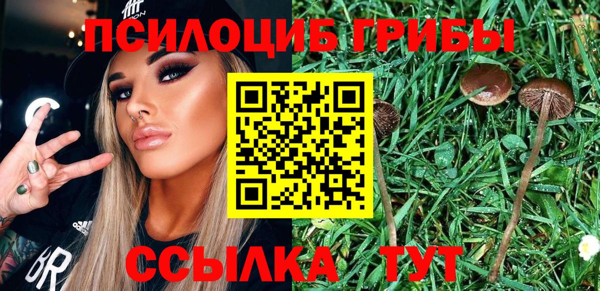 Ейск  Галлюциногенные грибы мухоморы  Вход с VPN 